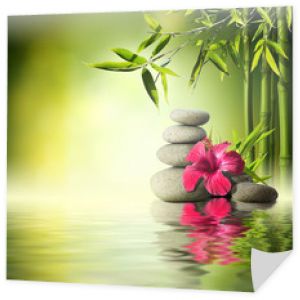 Kamienie, czerwony hibiskus i bambus na wodzie