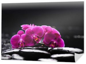 Oddział orchidei z kamieniami terapeutycznymi