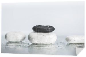 Plecy i białe kamienie zen z kroplami wody na mokrym szkle na szarym tle