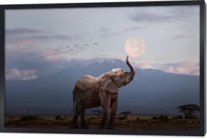 Słoń trzymający księżyc w Afryce