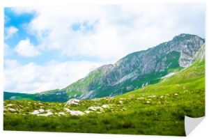 krajobraz góry i dolinę w masywie Durmitor, Czarnogóra