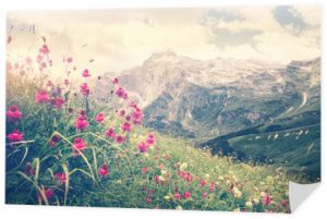 Skaliste góry Fisht i zielona alpejska dolina z kwitnącymi różowymi kwiatami Krajobraz Lato Podróż malowniczy widok