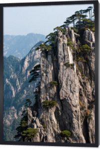 Sosny na krawędzi klifu, pasmo górskie Huangshan w Chinach. Prowincja Anhui - malowniczy krajobraz ze stromymi klifami i drzewami w słoneczny dzień.