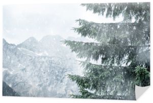 Zimowa scena śnieżne drzewa i góry