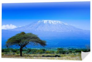 Krajobraz Kilimandżaro
