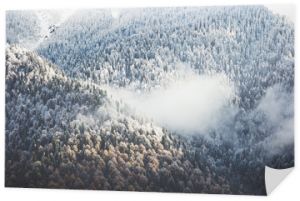 zima las chmury krajobraz widok z lotu ptaka drzewa tło podróż spokojne krajobrazy
