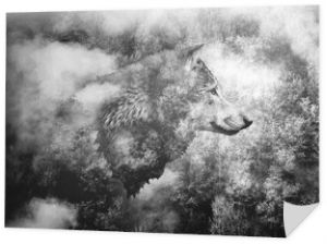 Czarno-biały kolaż: głowa wilka i mglisty las.
