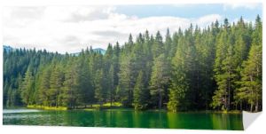zielony las i piękne polodowcowe Jezioro Czarne w Czarnogóra