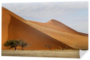 Krajobraz wydm, Sossulvlei, Namibia