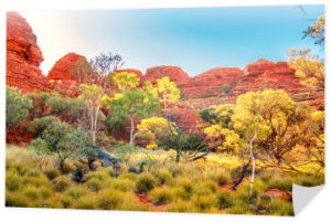 Australia outback