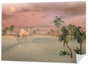 Wielbłądy na pustyni - renderowanie 3D