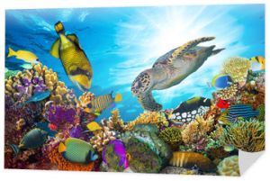panorama podwodnego życia morskiego rafy koralowej z wieloma rybami i zwierzętami morskimi