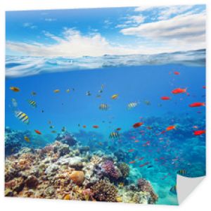 Podwodna rafa koralowa z horyzontem i falami wodnymi