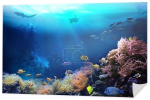 Podwodny widok na rafę koralową. Ekosystem. Życie w wodach tropikalnych. 