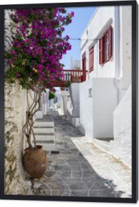 Ulica na wyspie Sifnos, Cyklady, Grecja