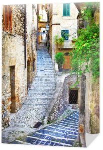 piękne uliczki średniowiecznej wioski włoski, artystyczne vin