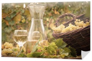 sezon jesienny winnicy białego wina