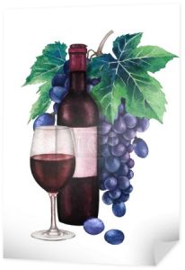 Akwarela kieliszek czerwonego wina, ciemnych butelek i kiść winogron niebieski