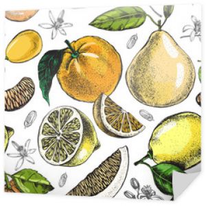 Ozdobny wzór z owoców cytrusowych rysowane ręcznie atramentem. Ilustracja wektorowa.