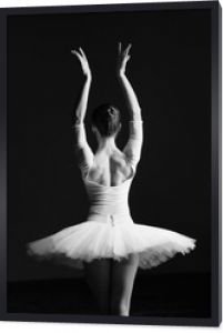 Młoda piękna baletnica pozuje w studio