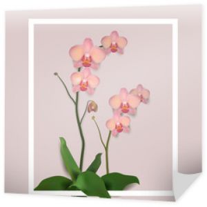 Kwiat orchidei ilustracji wektorowych róża