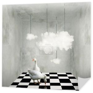 chmury i kaczki w sali surrealistyczne