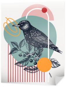 Hand-sketched Starling vector illustration. Perching bird on buckthorn branch. Collage style illustration with geometric shapes and abstract elements. 