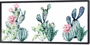 Watercolor blooming pink cactus and green, blue cacti set, hand drawn flowers illustration. Perfect for design stickers, icons,  greeting card, blog, banner. Isolated on white.  Cacti collection.