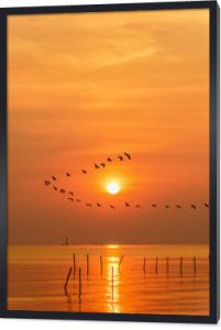 Stado mew ptak lecący w linii przez jasne żółte słońce na pomarańczowe światło niebo i światło słoneczne odbijają wodę morza piękny krajobraz przyrody o wschodzie słońca, tle zachodu słońca, Tajlandia