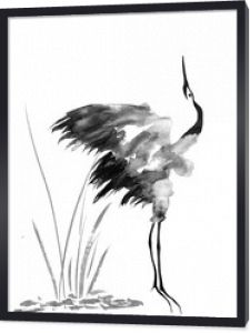 Japoński żuraw ptak rysunek. Ilustracja akwarela i tusz w stylu sumi-e, u-sin, go-hua Orientalne tradycyjne malarstwo. Na białym tle.