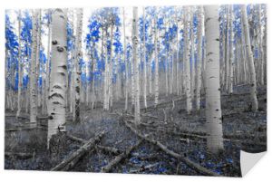 Niebieskie drzewa w surrealistycznej scenerii leśnego krajobrazu