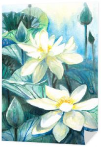 Akwarele lotosu malowane.