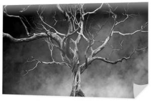 Stare wielkie gigantyczne drzewo samotnie na tle mgły i dymu, kolor czarno-biały