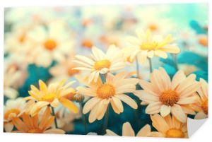 Trawnik kwiatów. Vintage kwiat tło w ogrodzie. Pastelowa paleta kolorów
