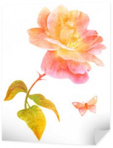 Akwarela różowa róża i motyl, na białym tle, złoty stonowany