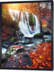 Piękny wodospad na górskiej rzece w kolorowym jesiennym lesie z czerwonymi i pomarańczowymi liśćmi o zachodzie słońca. Krajobraz przyrody