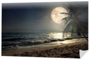 Piękna tropikalna plaża fantasy z gwiazdą Drogi Mlecznej na nocnym niebie, pełnia księżyca - grafika w stylu retro z klasycznym odcieniem kolorów (elementy tego księżycowego obrazu dostarczone przez NASA)