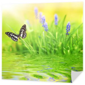 Zielone tło, piękny motyl, niebieski kwiat