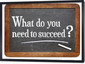 Czego potrzebujesz, aby odnieść sukces?