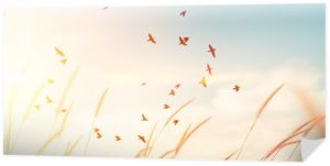 Ptaki latające i trawa kwiat na zachód słońca niebo i chmura streszczenie tło. Pojęcie wolności i natury.