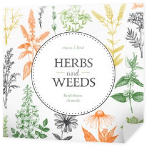 Projekt wektor z ręcznie rysowane chwasty i zioła. Tło dekoracyjne z rocznika szkic roślin leczniczych i aromatycznych.