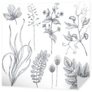 Ręcznie rysowane kwiaty i zioła wektor zestaw