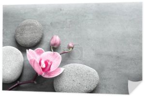 Płaska kompozycja świeckich z kamieniami spa, orchidea różowy kwiat na szarym tle. Koncepcja spa.