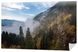 Górski jesienny krajobraz z kolorowym lasem i wysokimi szczytami Kaukazu. Ośrodek narciarski Rosa Khutor poza sezonem, Rosja, Soczi. Chmury górskie Taniec