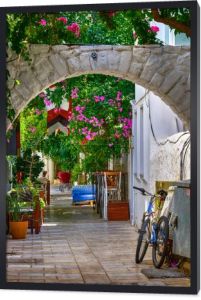 Colorful streets with white houses and curly flowers in Bodrum, Turkey