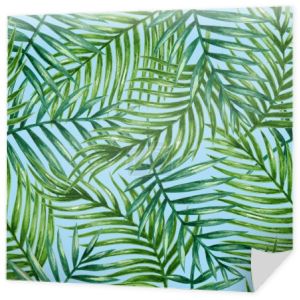 liści palmy tropikalnej