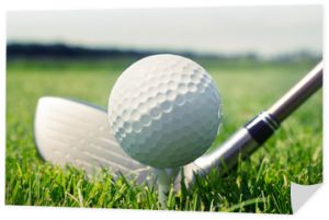 Kij golfowy i piłka na tee w trawie
