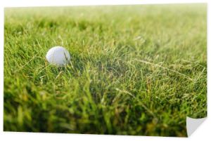 piłka golfowa na trawie