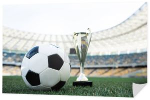 piłka nożna i trofeum na trawiastym boisku piłkarskim na stadionie