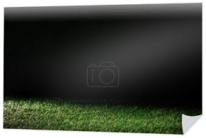boisko do piłki nożnej z zielonej trawy na tle czarnego, kwiatowy